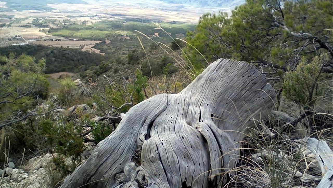 Los Cuatro Vientos B&B Torre del Rico Dış mekan fotoğraf